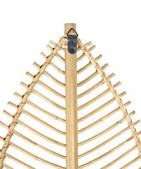 ST