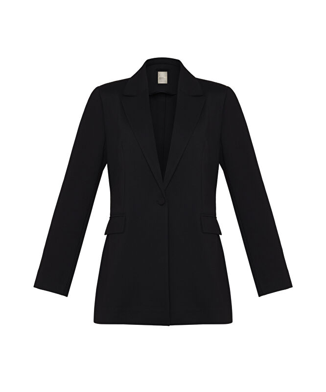 Regular Ceket Yaka Uzun Kol Ceket