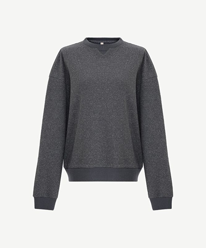 Regular Bisiklet Yaka Uzun Kol Sweatshirt