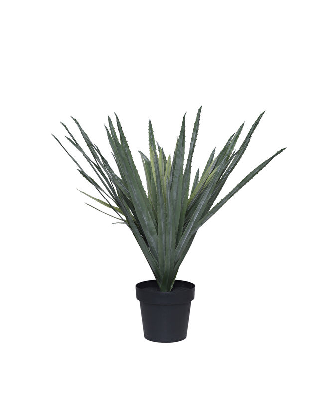 Saksı bitki(50x50x80 cm)