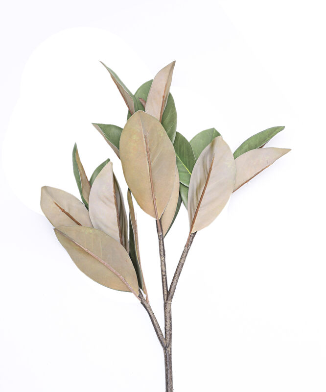 Tek dal bitki(18x94 cm)