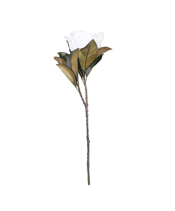 Tek dal bitki(17x69 cm)