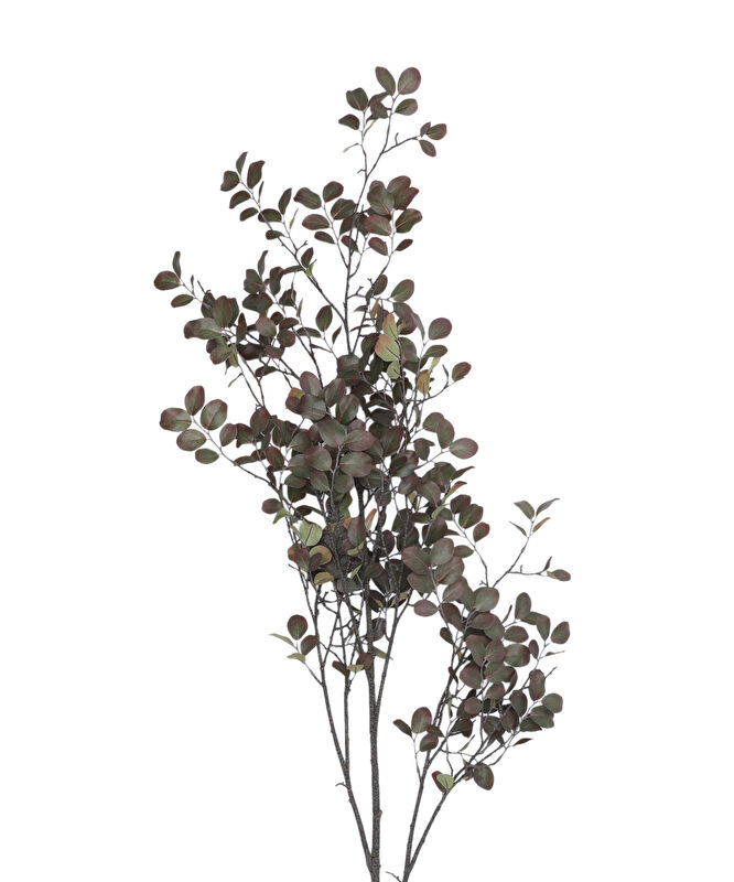 Tek dal bitki(72x42x130 cm)